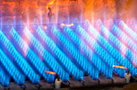 Bainbridge gas fired boilers